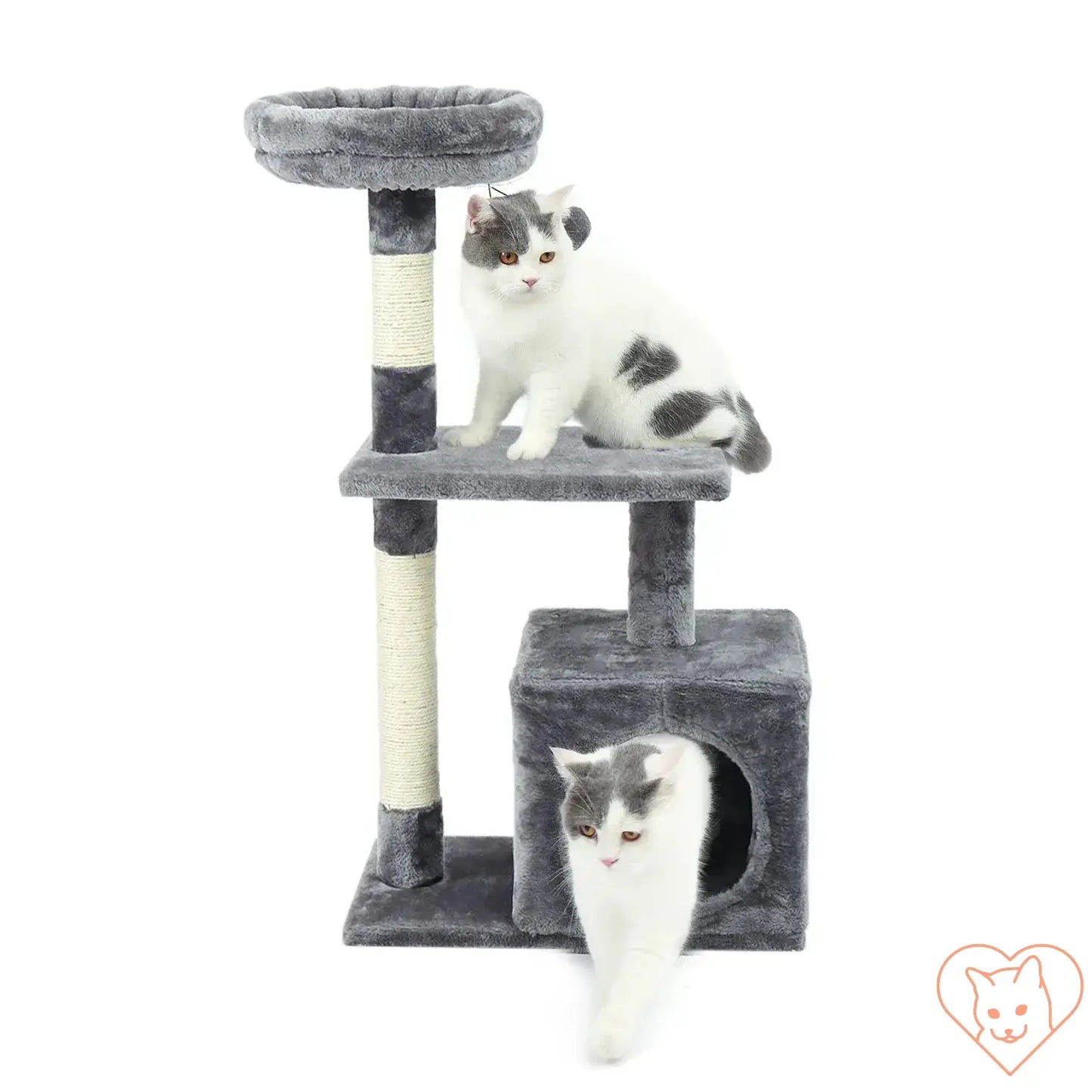 Two cats playing on a 68-inch multi-level cat tree with condos and sisal posts.