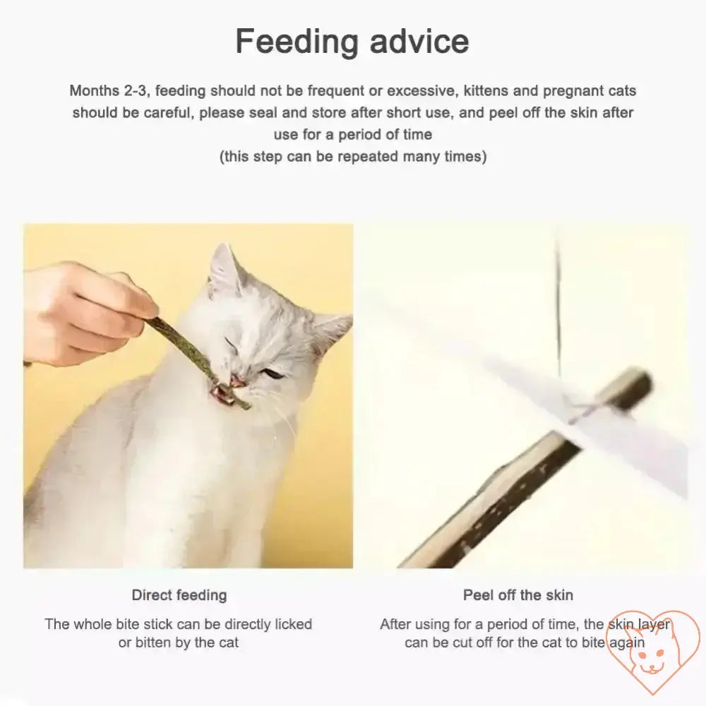 Feeding advice for silvervine cat sticks: direct feeding and skin peeling guidance for safe use.