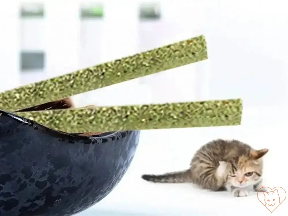 Natural silvervine cat sticks in a black bowl with a playful cat in the background.