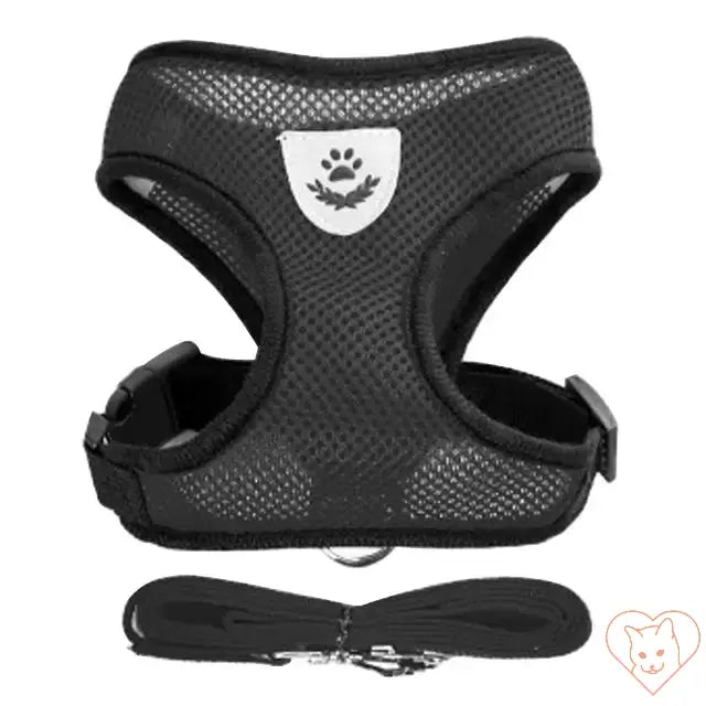 Adjustable black cat harness with soft mesh fabric and matching leash for comfort and safety during outdoor adventures.