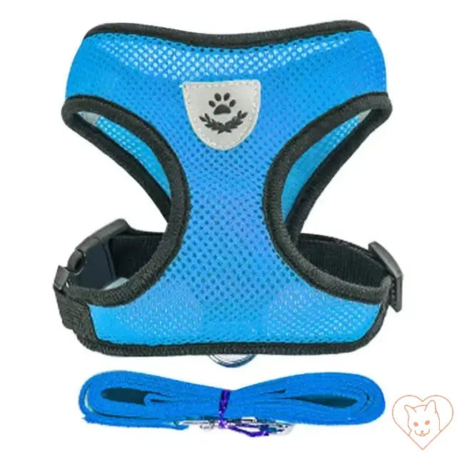 Adjustable blue cat harness with soft mesh fabric and matching leash for outdoor adventures. Reflective for safety.