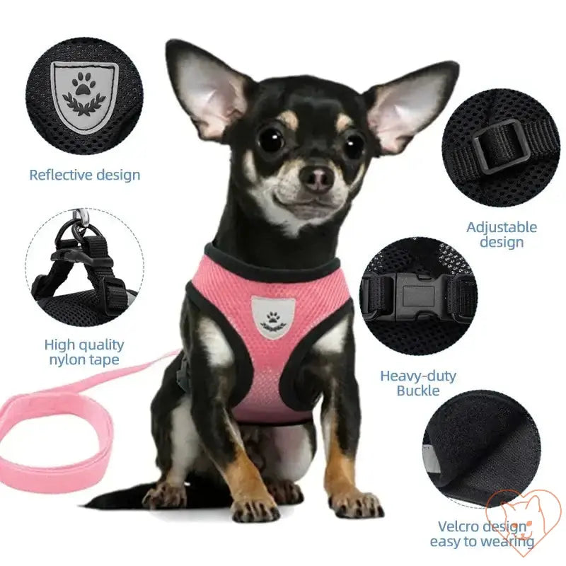 Adjustable cat harness and leash set in pink on a small dog, featuring reflective design and breathable mesh for comfort.