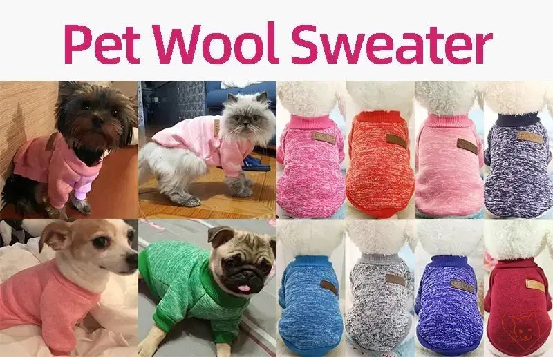 Variety of pet wool sweaters on different dogs, showcasing comfort and style in vibrant colors.