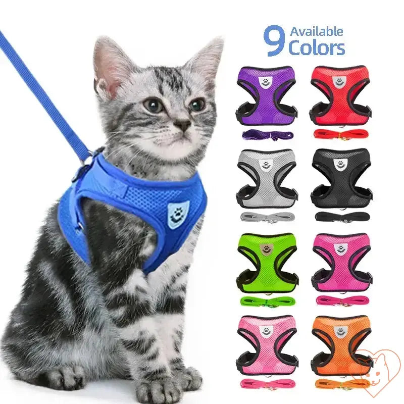 Cat wearing a blue adjustable harness and leash set, showcasing 9 color options for stylish outdoor adventures.