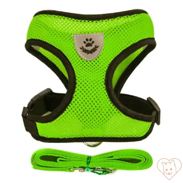 Adjustable green cat harness with leash, made from breathable mesh for comfort and safety in outdoor adventures.