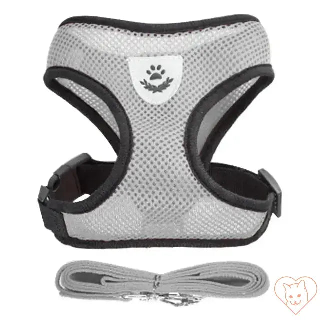 Adjustable cat harness and leash set in breathable mesh, designed for comfort and safety during outdoor adventures.