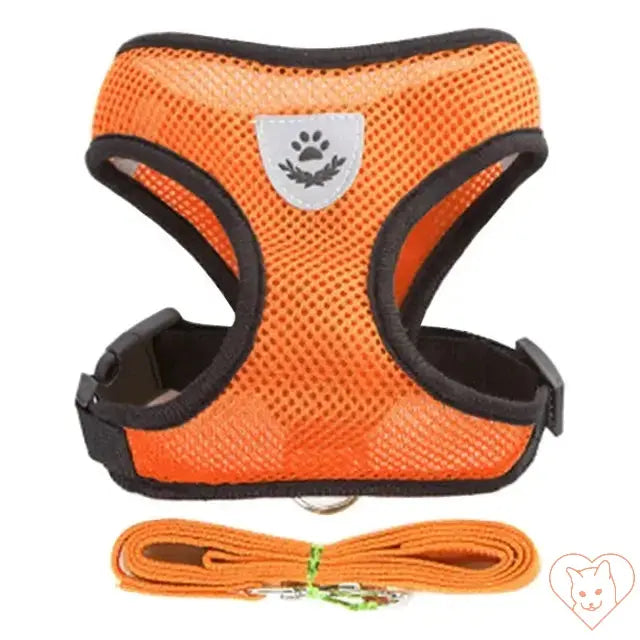 Adjustable orange cat harness and leash set made from breathable mesh for comfort and safety during outdoor adventures.