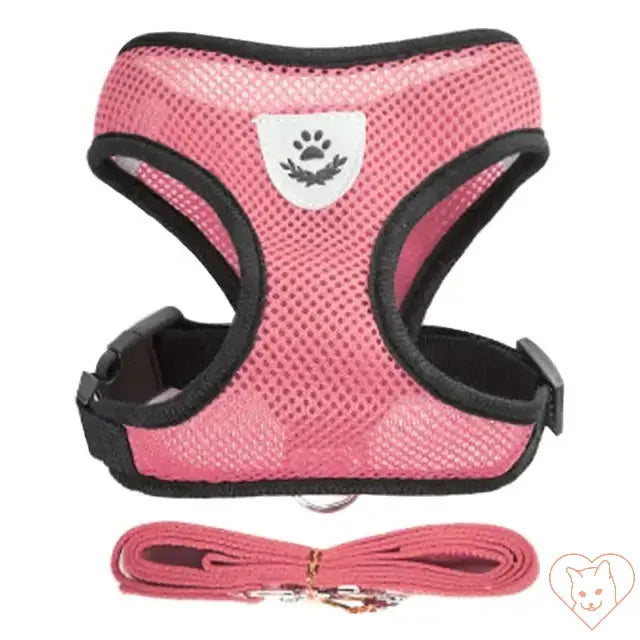 Adjustable pink cat harness with leash, made from breathable mesh for comfort and safety during outdoor adventures.