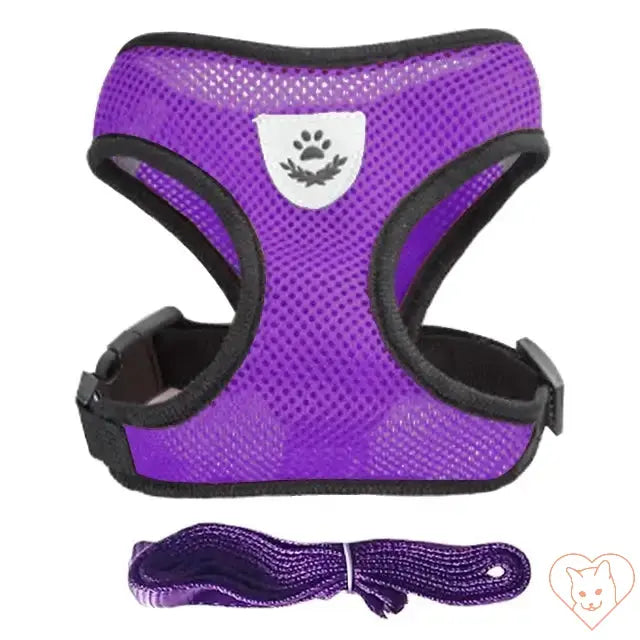 Adjustable purple cat harness with soft mesh fabric and matching leash for comfort and safety during outdoor adventures.