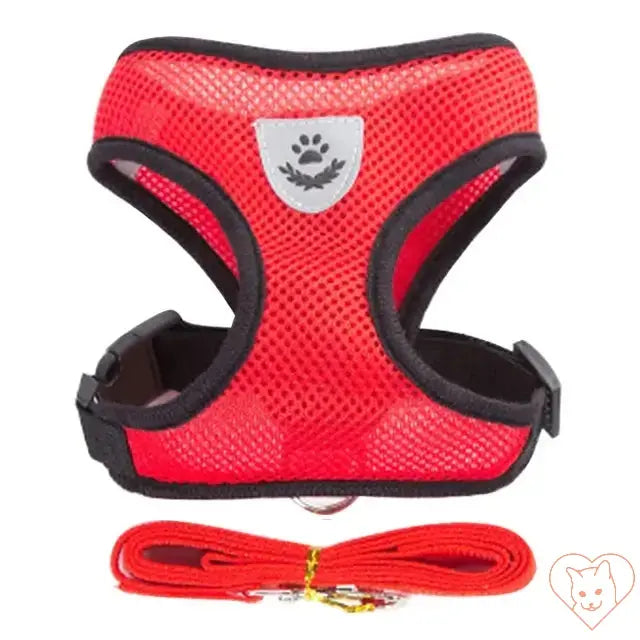 Adjustable red cat harness with soft mesh fabric and matching leash for comfort and safety during outdoor walks.