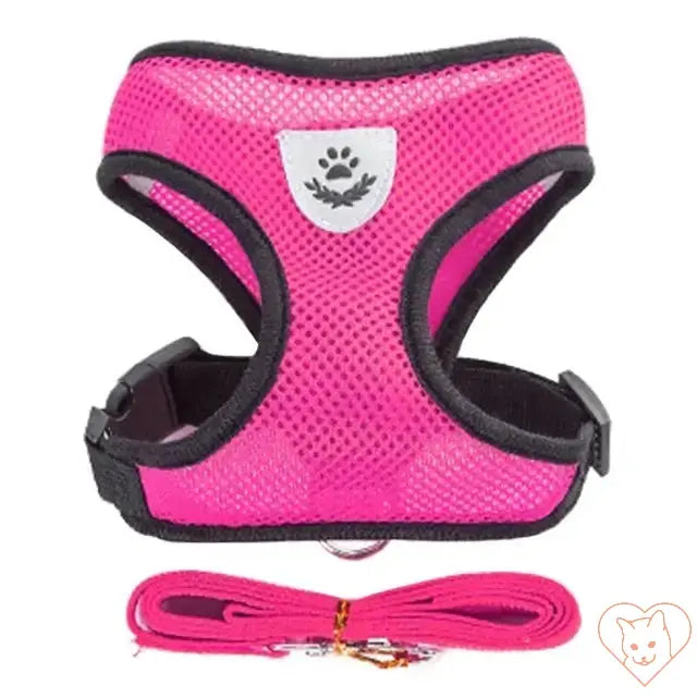 Adjustable pink cat harness and leash set made of breathable mesh fabric for comfort and safety during outdoor adventures.