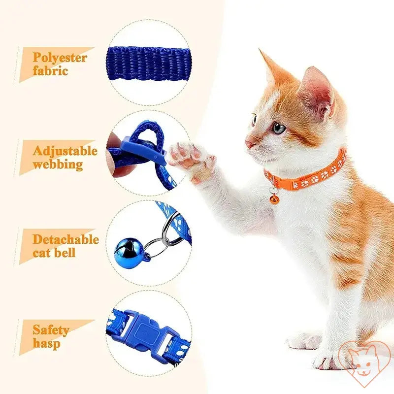 Image of a playful orange and white cat wearing an adjustable nylon collar with a bell and paw print design.