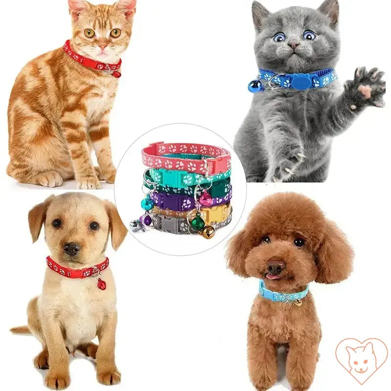 Colorful adjustable nylon pet collars with bells for kittens and puppies featuring paw print designs.