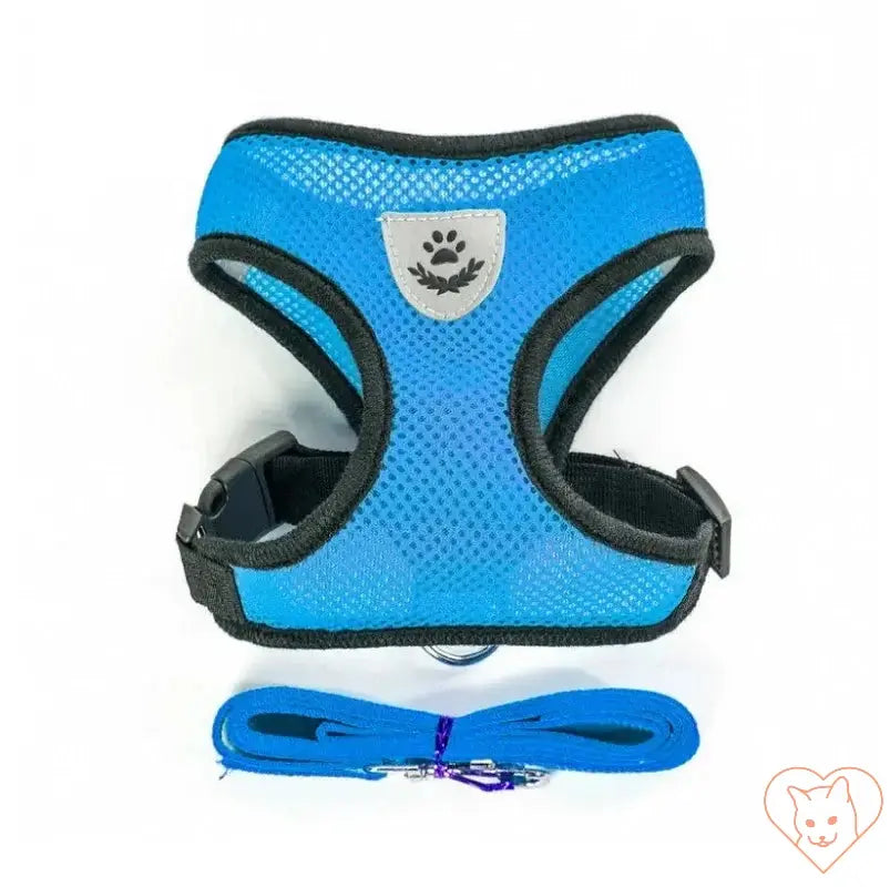 Adjustable reflective cat harness with leash in blue, made of breathable polyester for comfort and safety.