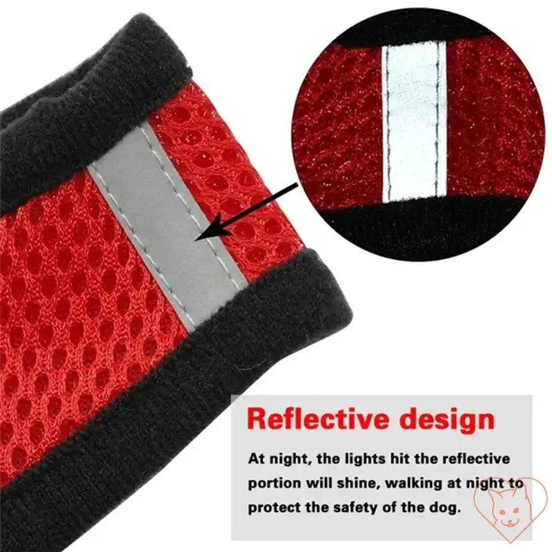 Close-up of adjustable cat harness showing reflective design for enhanced visibility during nighttime walks.