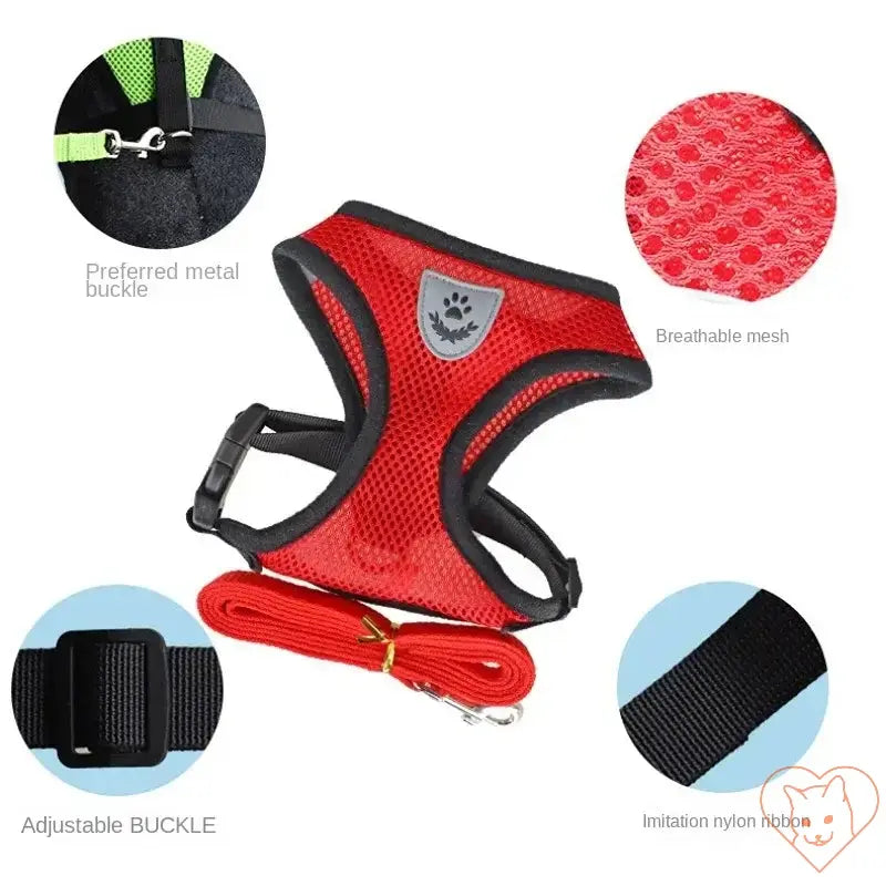 Adjustable reflective cat harness in red with breathable mesh, metal buckle, and nylon leash for comfort and safety.