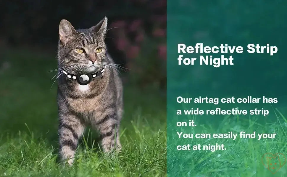Airtag cat collar on a tabby cat in grass, featuring a reflective strip for visibility at night.