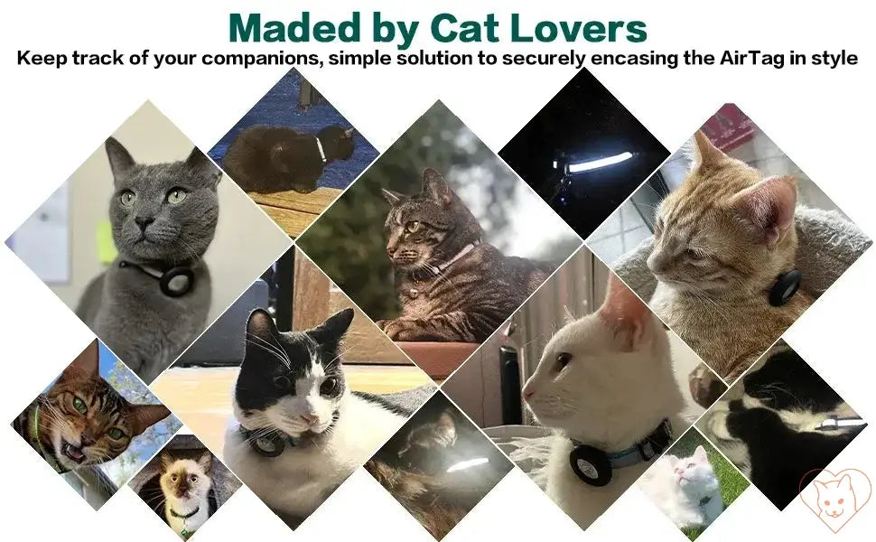 Collage of cats wearing Airtag collars, showcasing style and safety for tracking your feline friends.