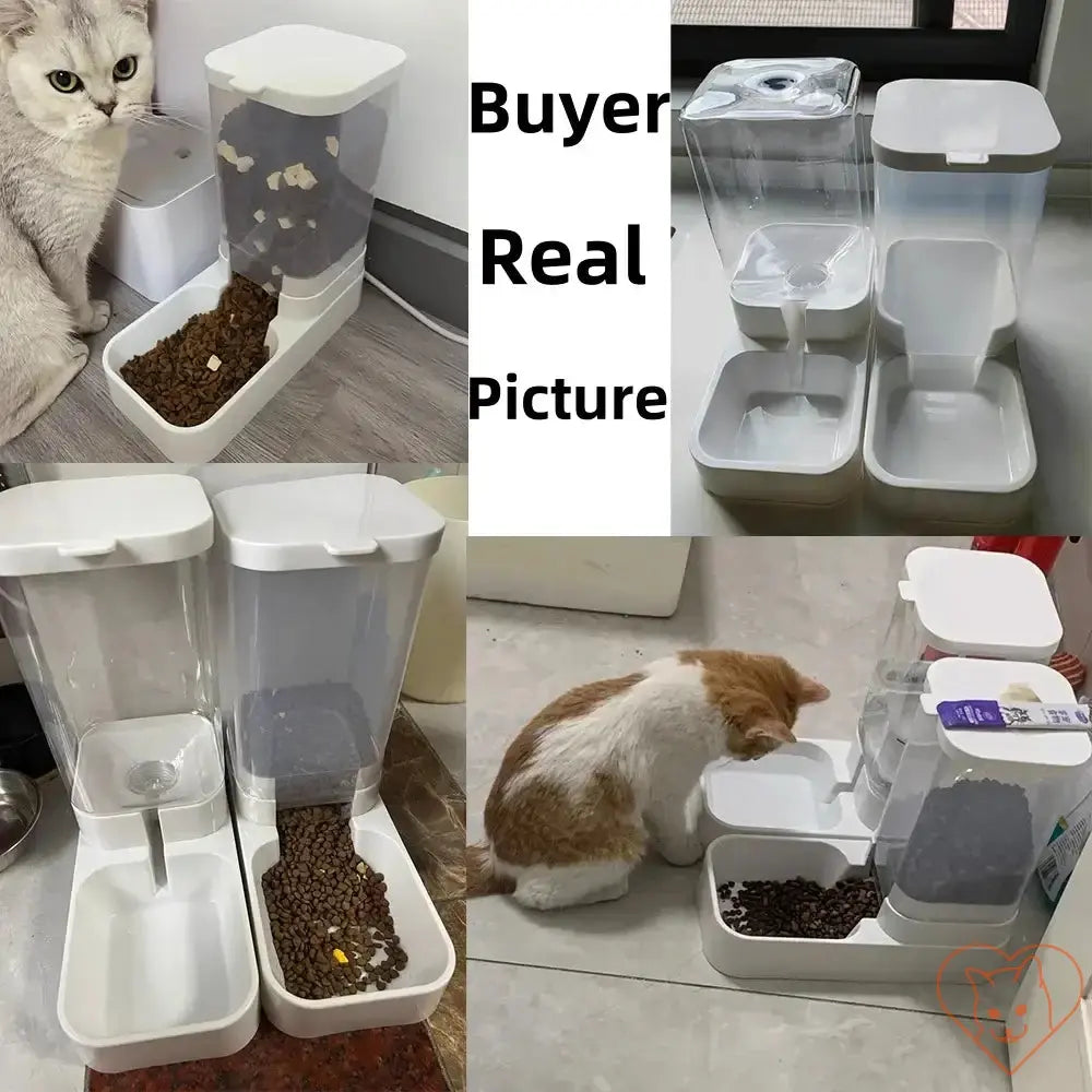 Automatic cat feeder and water dispenser, showing real buyer usage with cats enjoying their meals.