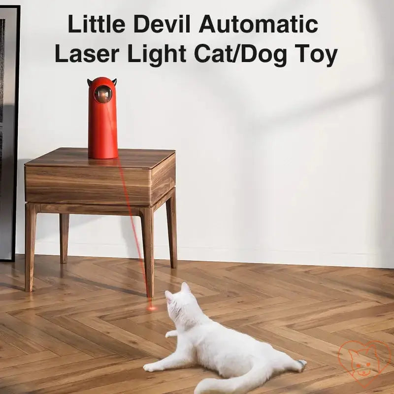 White cat playing with Little Devil Automatic Laser Light Toy on a wooden floor.