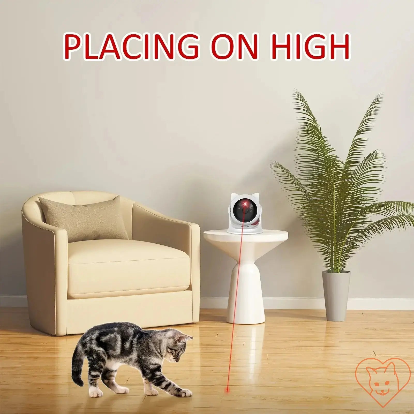 Cat playing with a laser toy in a stylish living room with a modern chair and plants.