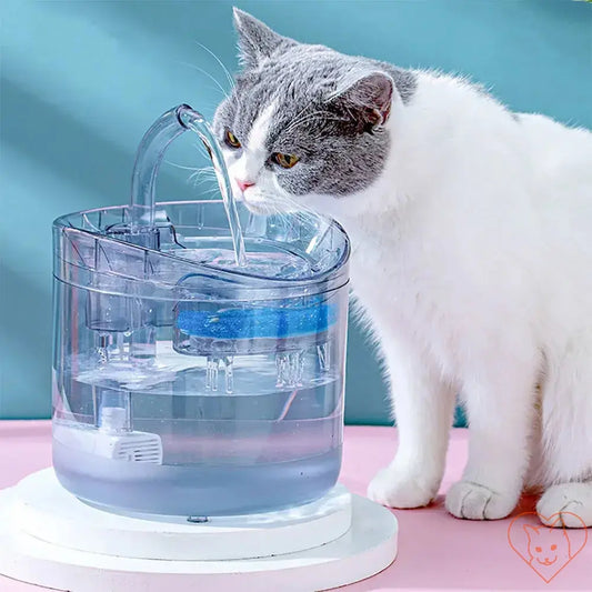 Gray and white cat drinking from an automatic motion sensor cat water fountain with a 2L transparent dispenser.