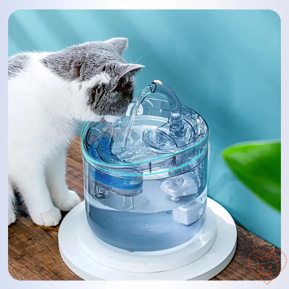 Cat drinking from a 2L automatic water fountain with motion sensor in a bright indoor setting.