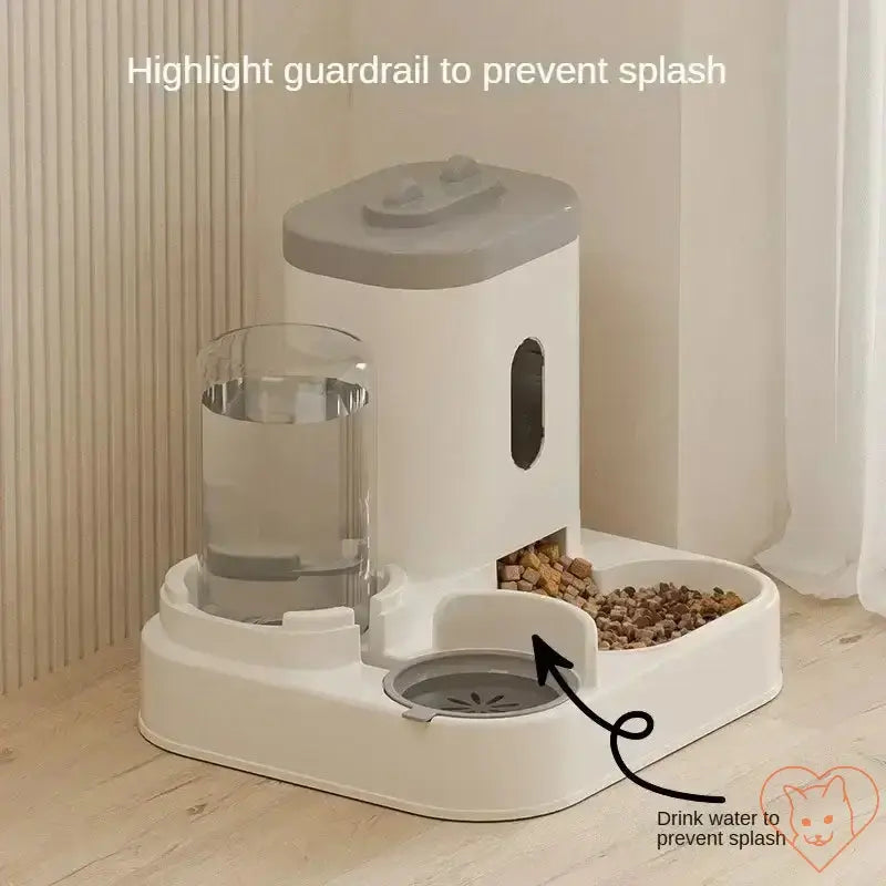 Automatic feeder and water fountain for pets with raised stand and guardrail to prevent splashing.