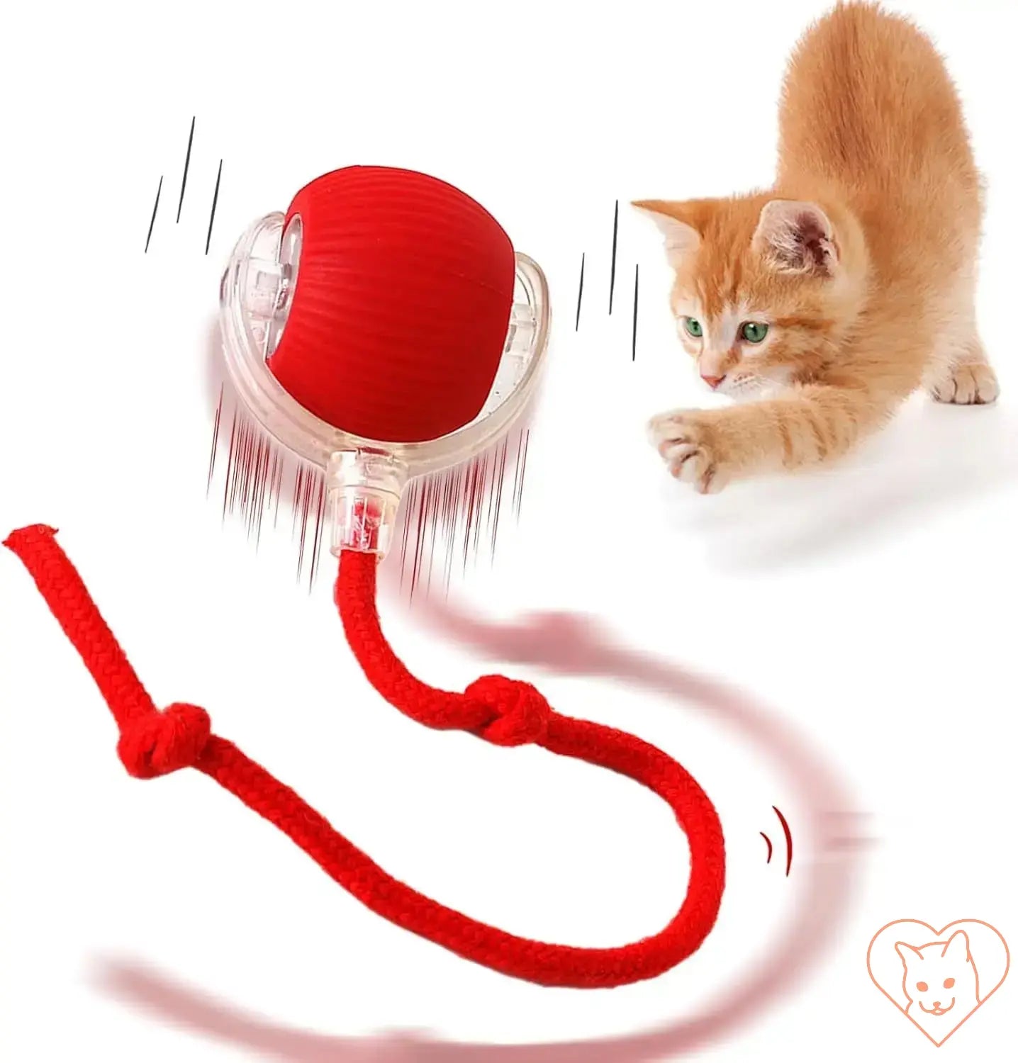 Playful kitten chasing an automatic rolling ball interactive toy, designed to engage and entertain cats.