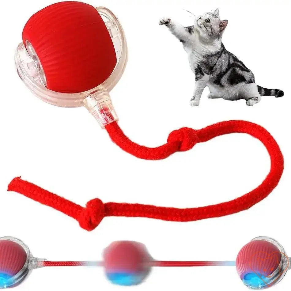 Automatic Rolling Ball Interactive Cat Toy with red strap, engaging cat in playful activity.