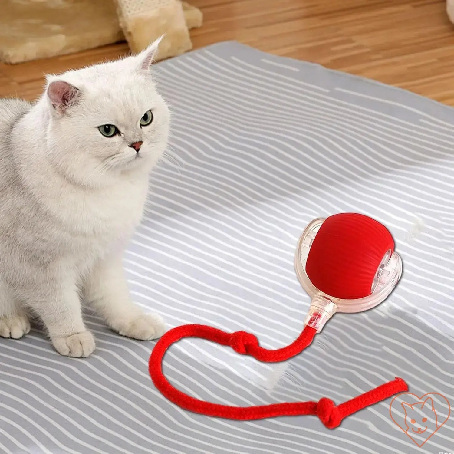 Interactive cat toy with red rolling ball and rope, stimulating playtime for cats, promoting exercise and reducing boredom.