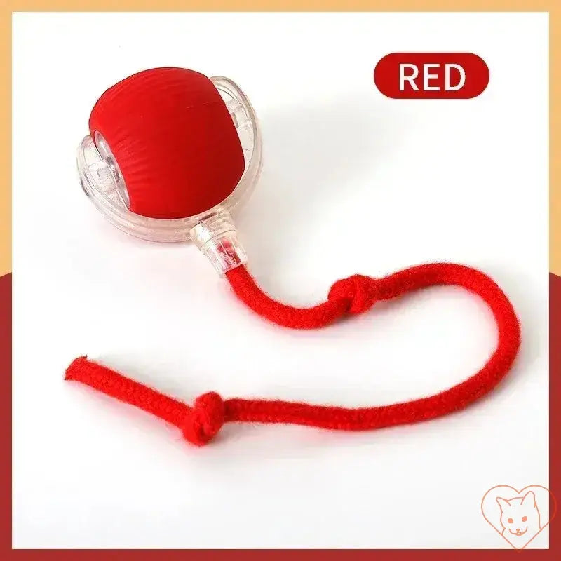 Red Automatic Rolling Ball Interactive Cat Toy with a string for playful feline engagement.