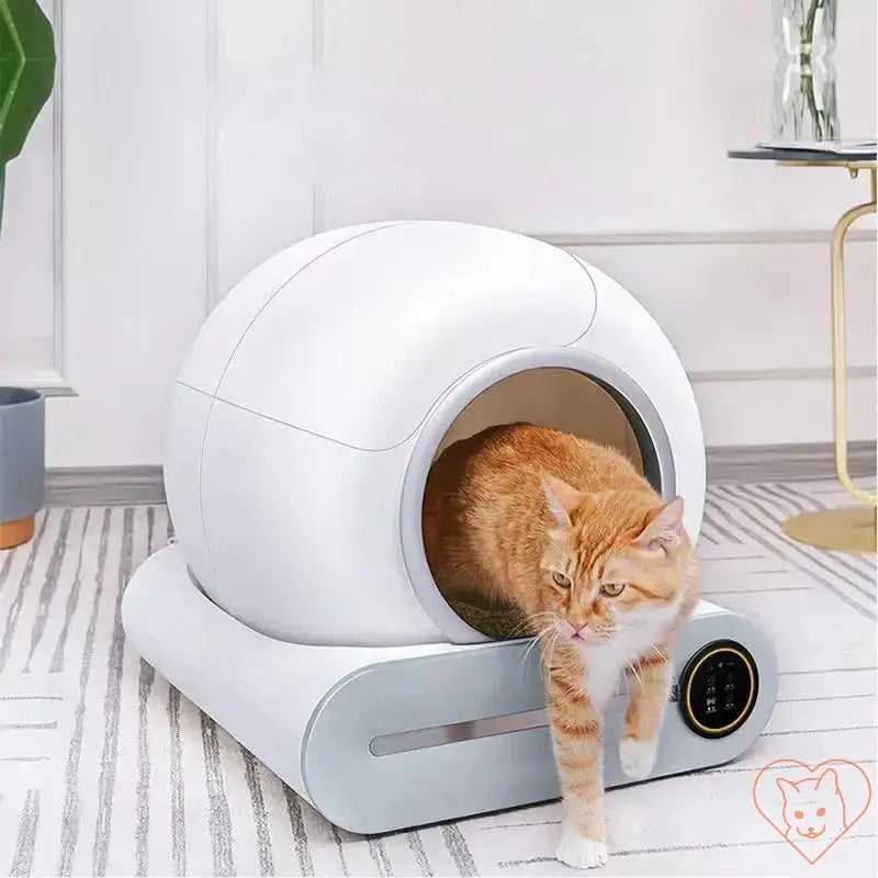 Cat exiting Booteely 65L Automatic Smart Cat Litter Box, a self-cleaning and enclosed design for modern homes.