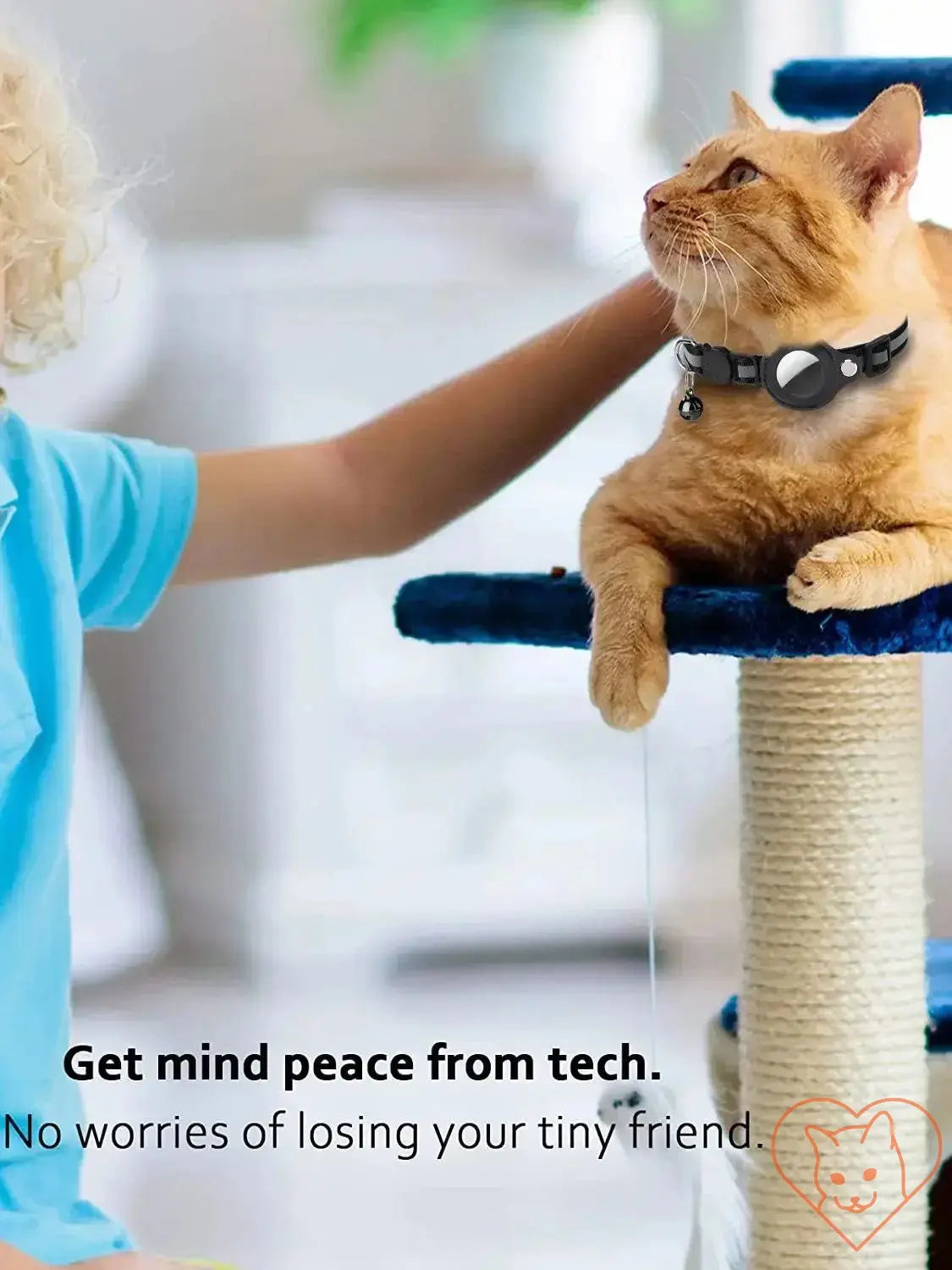 Cat with AirTag holder collar sitting on a scratching post, providing peace of mind for pet owners.
