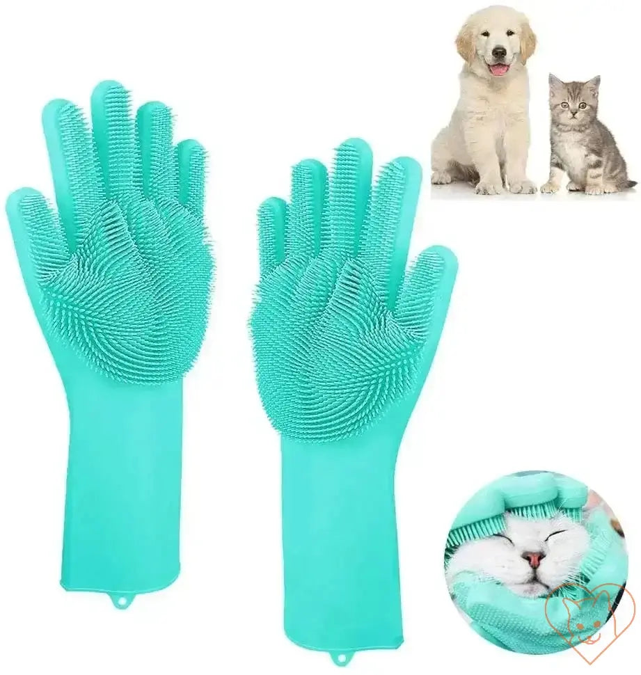 Cat grooming gloves in teal with silicone tips for gentle cleaning and de-shedding.