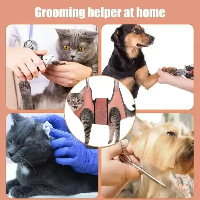 Collage of pets being groomed with a hammock helper, showcasing stress-free grooming at home.