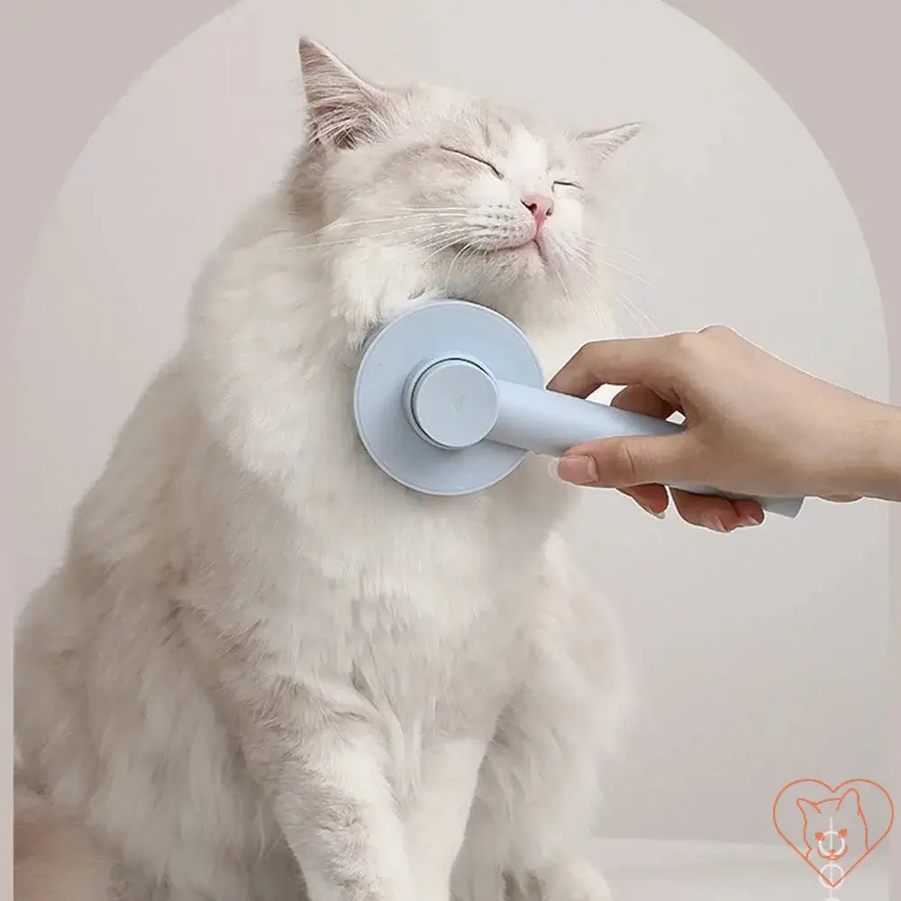 Cat Hair Removal Brush gliding through a fluffy cat's fur, promoting tangle-free and smooth grooming.