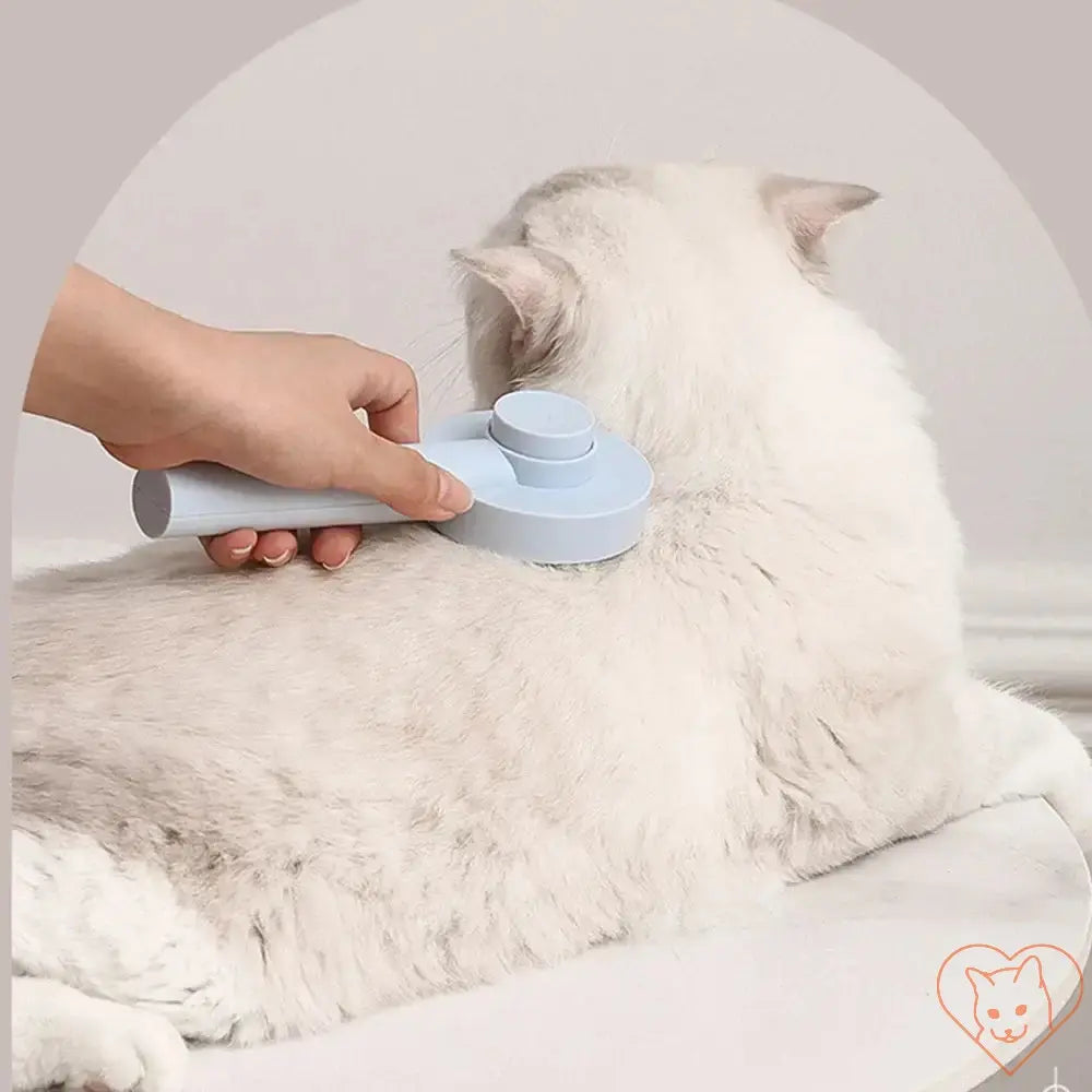 Person using a blue cat hair removal brush on a white cat's fur, ensuring a smooth grooming experience.