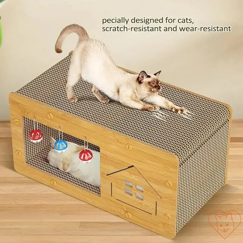 Cat scratching on a multi-functional scratcher box with cozy lounge area, designed for play and relaxation.