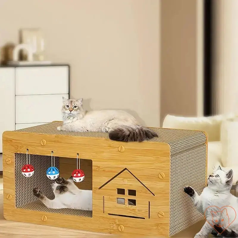 Cat scratcher box with bed and lounge space featuring playful cats and hanging toys in a stylish home setting.