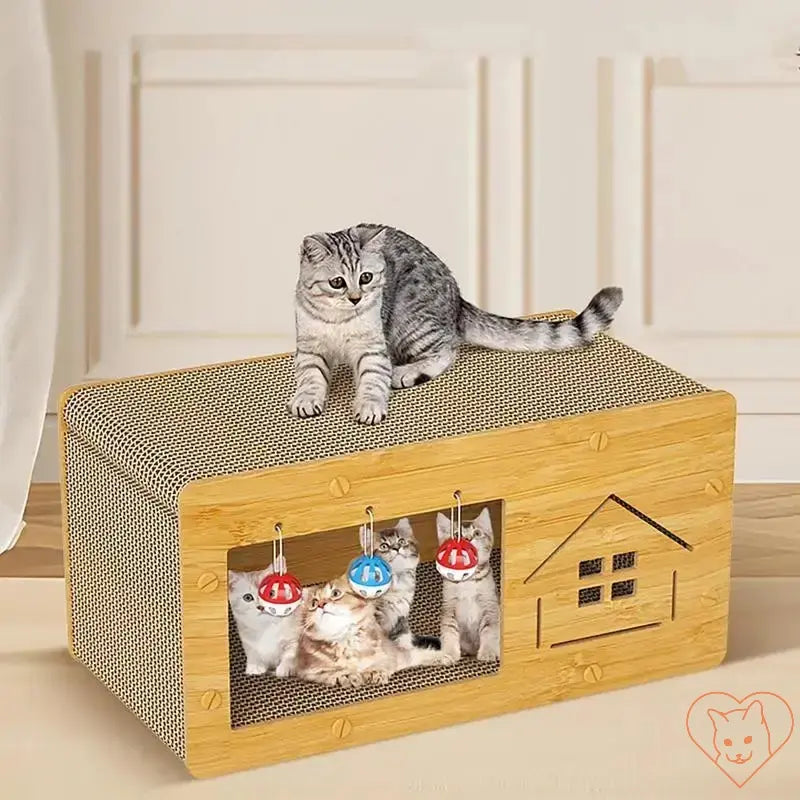 Gray cat lounging on a cat scratcher box with playful kittens peeking out from the front.