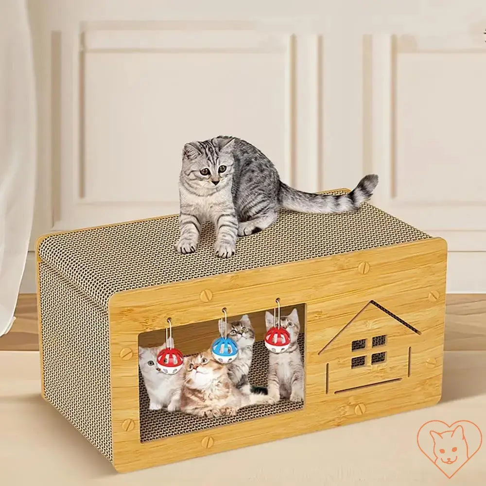 Cat Scratcher Box with cozy lounge space, featuring playful kittens and a resting cat on top.