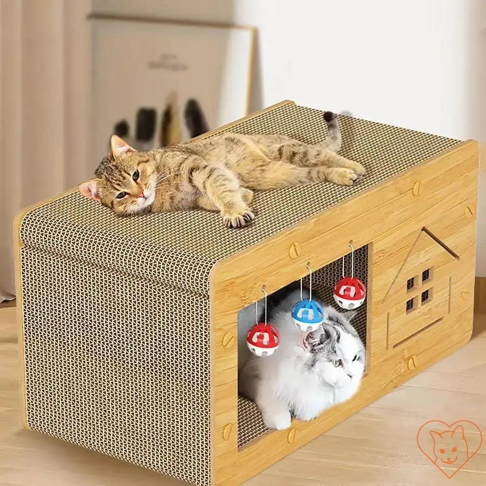 Two cats relaxing on a stylish cat scratcher box with lounge space and playful hanging toys.