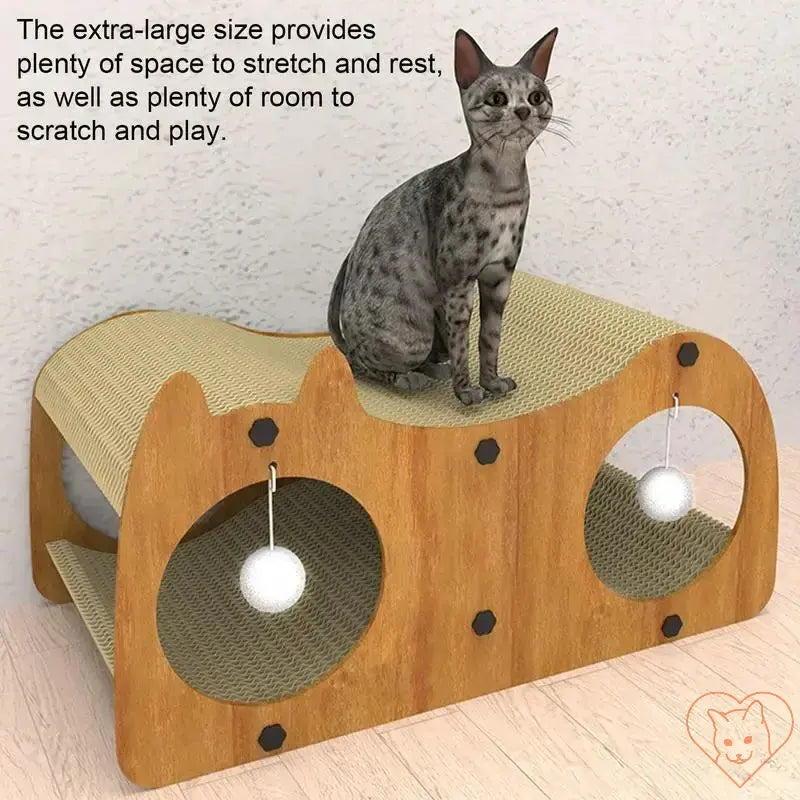 Cat sitting on an extra-large scratcher tunnel with playful bobbles, perfect for stretching and playing.