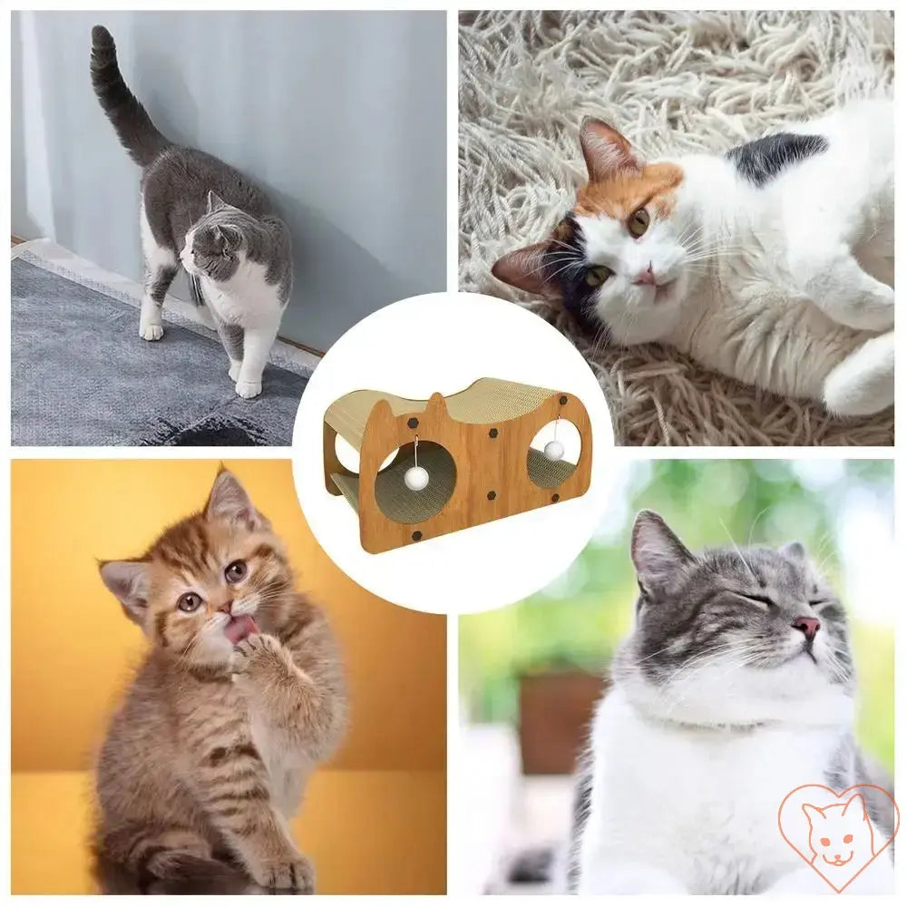 Cats interacting with a multi-functional cat scratcher tunnel and play house for indoor fun.