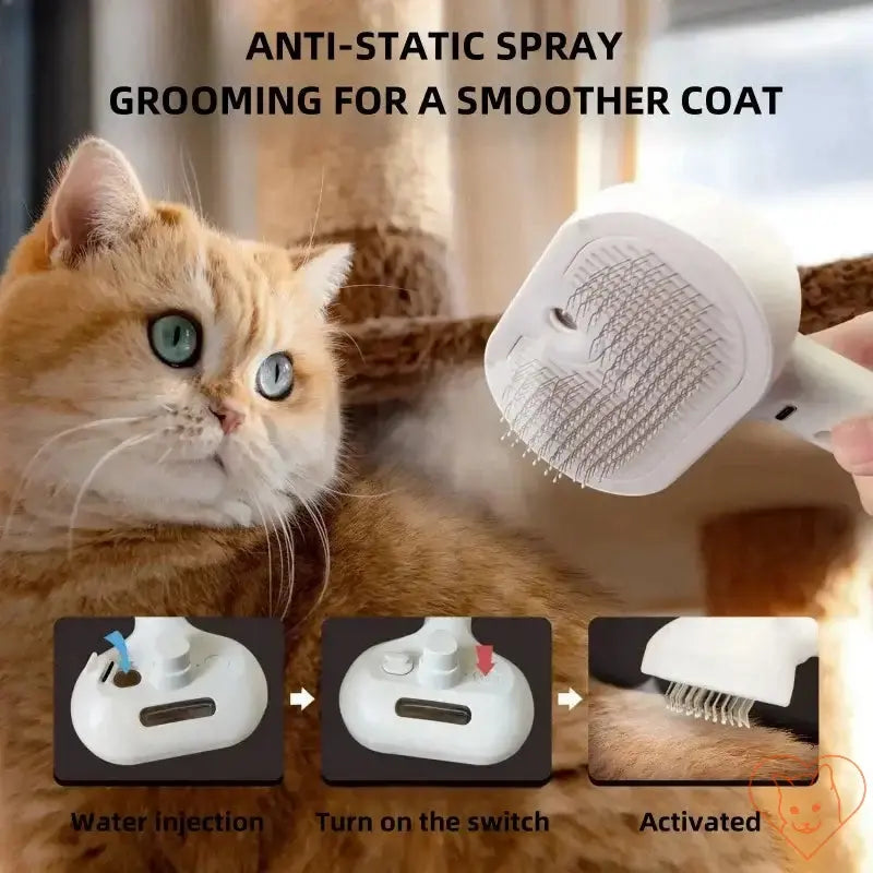 Cat Spray Grooming Comb demonstrating anti-static spray for a smoother coat, featuring a water tank and grooming bristles.