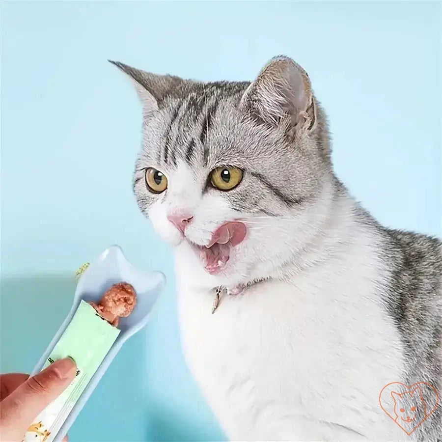 Cat enjoying lickable wet treats from a squeeze spoon feeder for pets.