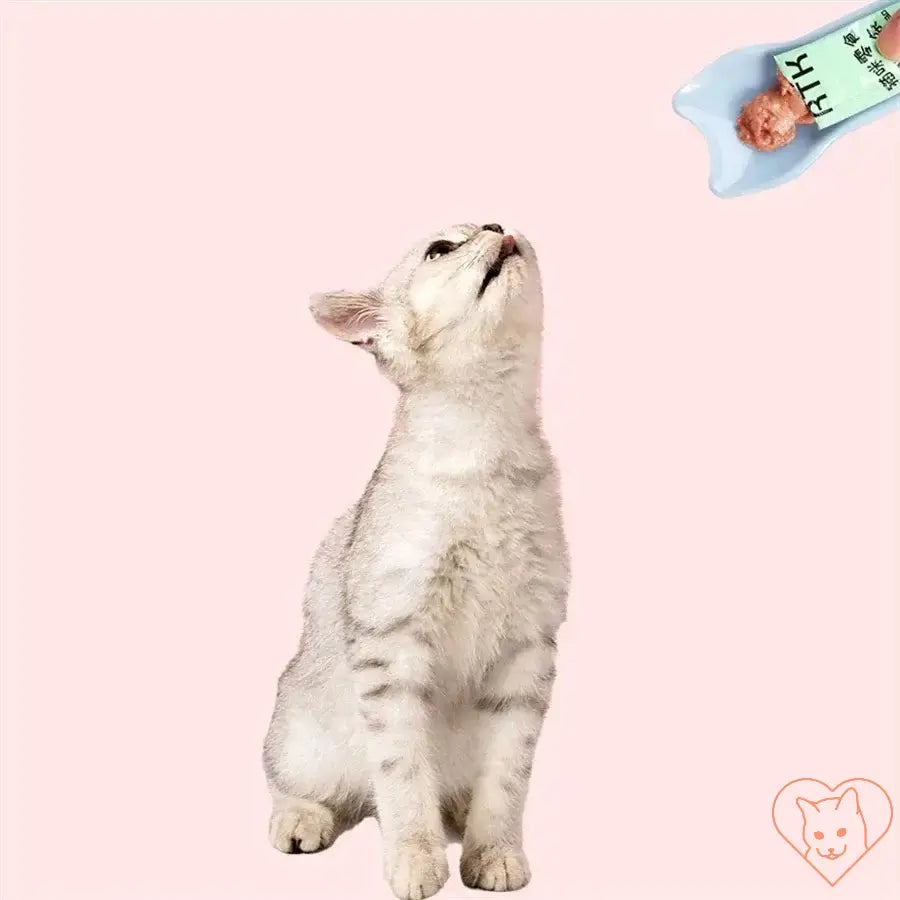 Cat looking up at a squeeze spoon with lickable wet treat, highlighting the efficient pet feeding tool for cats.