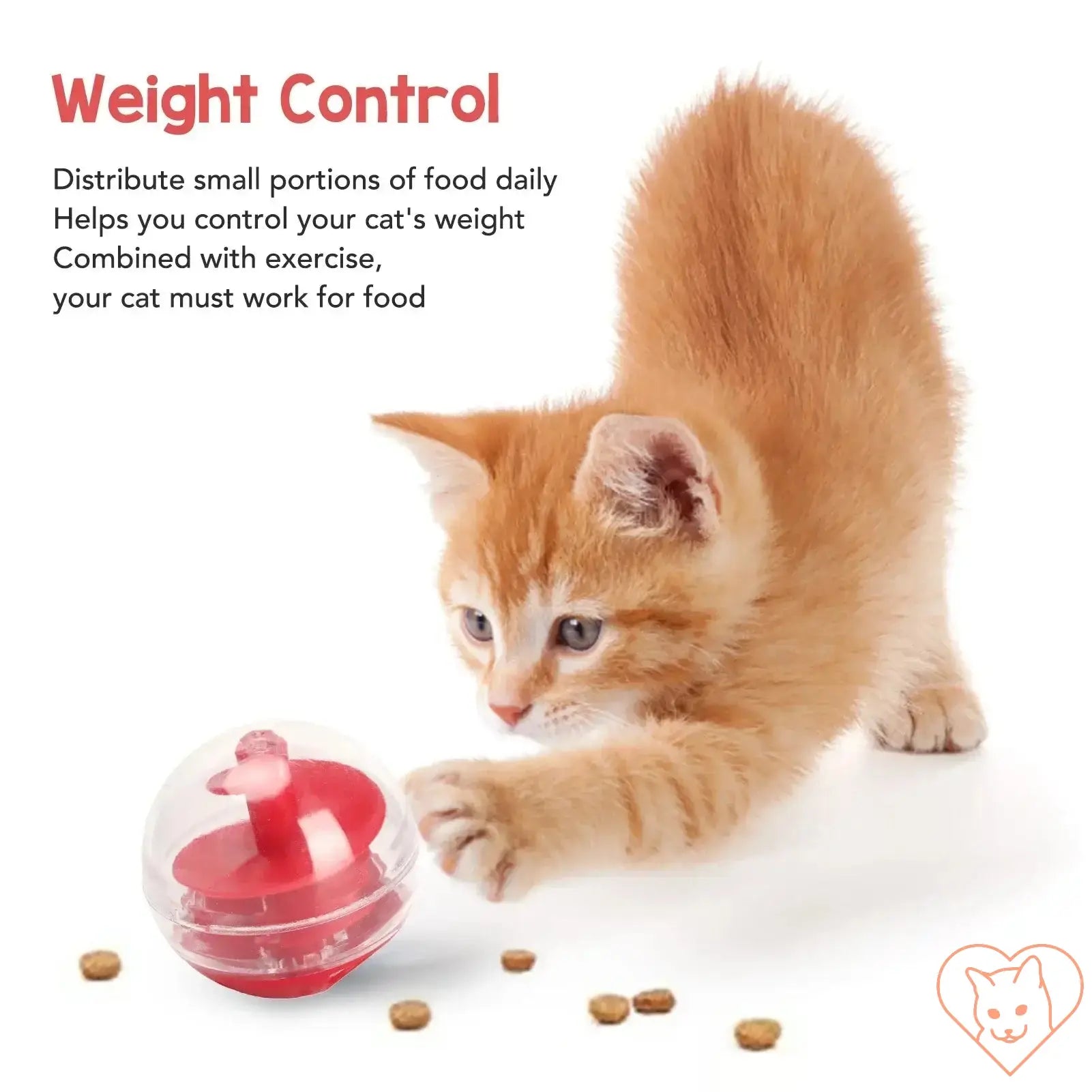 Cat playing with a treat dispensing ball, promoting weight control and healthy eating through interactive fun.