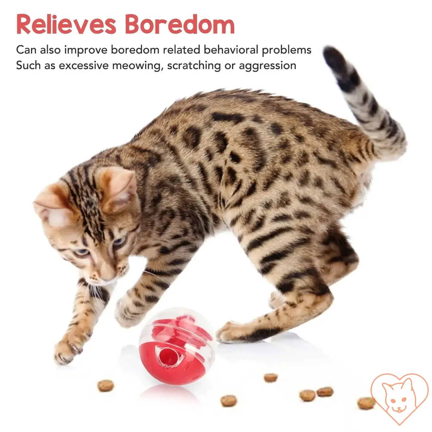 Playful Bengal cat interacting with a treat dispensing ball, promoting mental stimulation and reducing boredom.